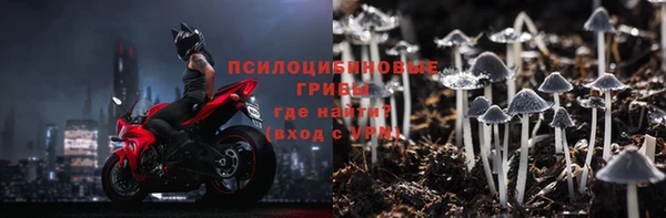 apvp Алзамай