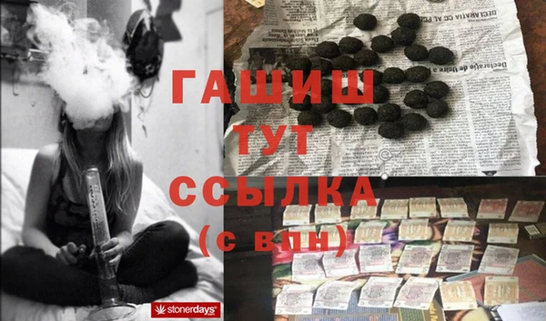 apvp Алзамай