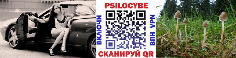 Псилоцибиновые грибы Cubensis  Искитим 