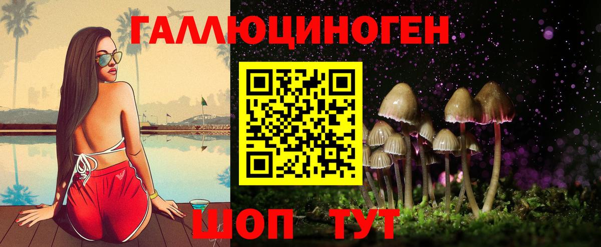 Псилоцибиновые грибы Psilocybe  сколько стоит  Искитим  Псилоцибиновые грибы ЛСД  Вход с VPN 