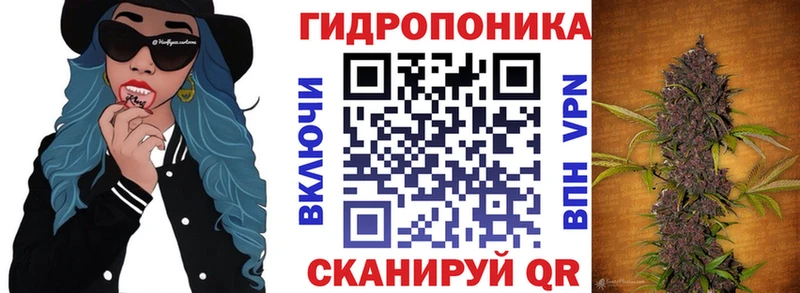 Бошки Шишки планчик  закладки  Искитим 